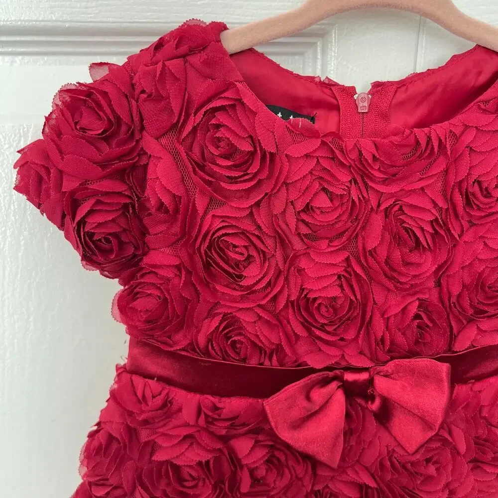 Biscotti Collzioni Standing Ovation Red Floral Fancy Lined Dress - 24 months
